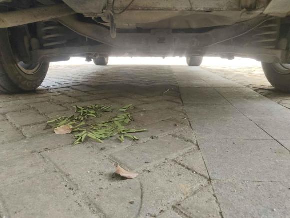 [武汉·鄂A] 二手马自达马自达32007款 1.6L 自动标准型