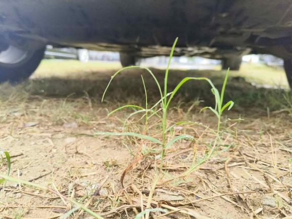 [苏州·苏U] 二手奔驰奔驰GLE2017款 GLE 320 4MATIC 动感型