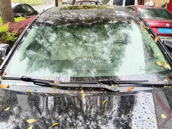 [上海·沪A] 二手荣威荣威e9502017款 50T 混动互联行政版