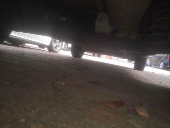 [湖州·浙E] 二手福特翼搏2013款 1.5L 自动尊贵型