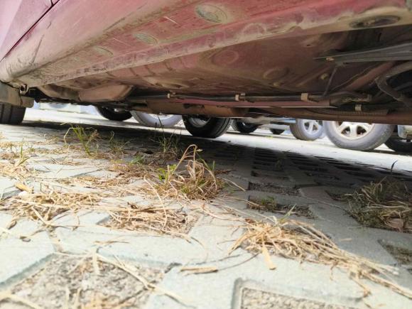 [合肥·苏E] 二手丰田YARiS L 致炫2014款 1.5G 自动炫动版