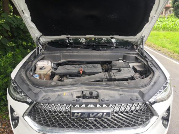 [嘉兴·浙F] 二手哈弗哈弗F7x2021款 1.5T 两驱极智科技版