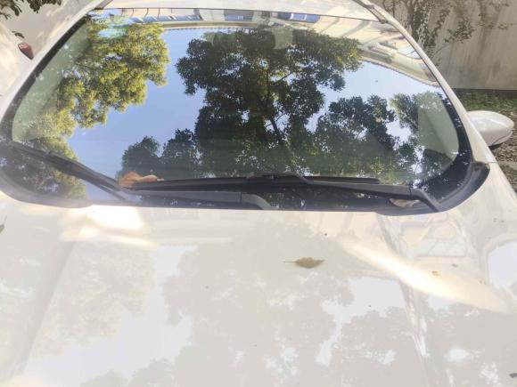 [上海·沪C] 二手福特翼搏2018款  1.5L 自动尊翼型