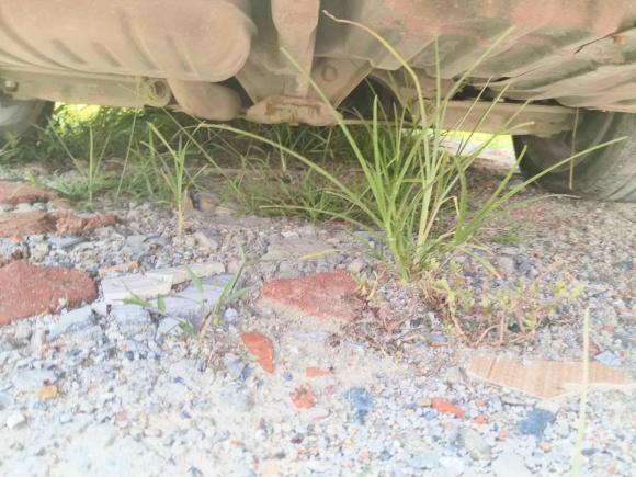 [嘉兴·浙C] 二手宝马宝马3系2009款 330i敞篷轿跑车