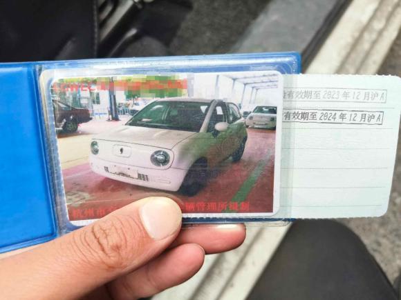 [上海·浙A] 二手欧拉欧拉黑猫2019款 351km 灵趣版