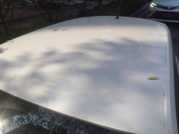 [济南·鲁A] 二手斯柯达晶锐2016款 1.4L 自动车享版