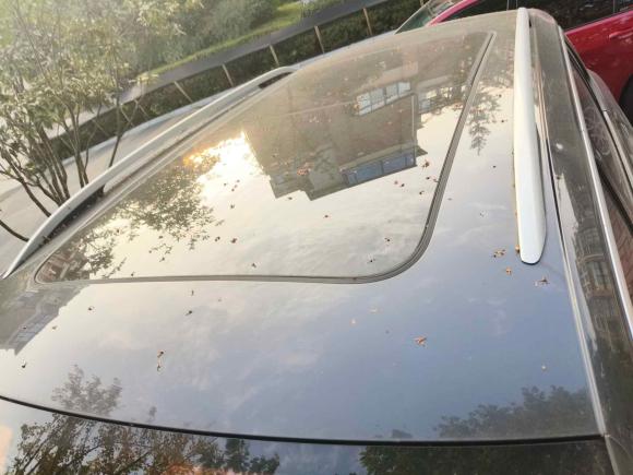 [湖州·浙E] 二手大众探岳2019款 330TSI 两驱豪华型 国V