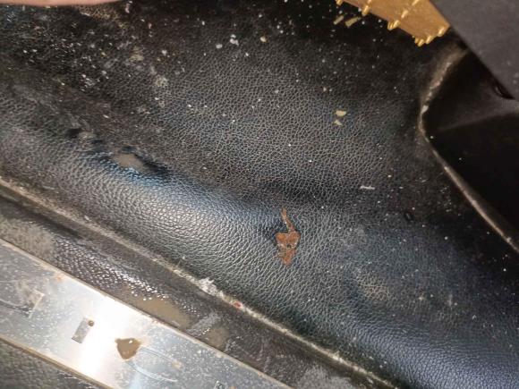 [合肥·皖A] 二手别克昂科雷2010款 3.6L 旗舰版