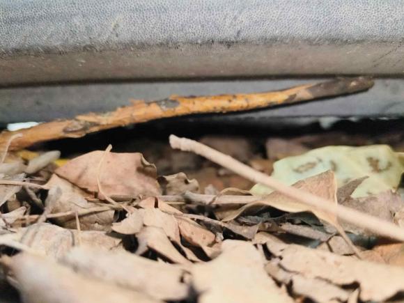 [义乌·浙G] 二手现代领动2016款 1.6L 自动智炫·精英型