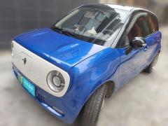 [佛山·粤E]欧拉&nbsp;&nbsp;欧拉黑猫&nbsp;&nbsp;2019款351km亲子版