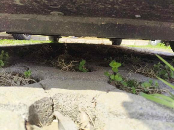 [武汉·鄂A] 二手MINIMINI2011款 1.6L ONE