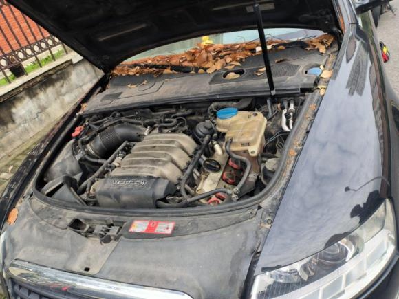 [上海·沪A] 二手奥迪奥迪A6L2009款 2.8 FSI 舒适娱乐型