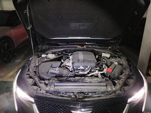 [上海·沪F] 二手凯迪拉克凯迪拉克CT42020款 28T 精英型