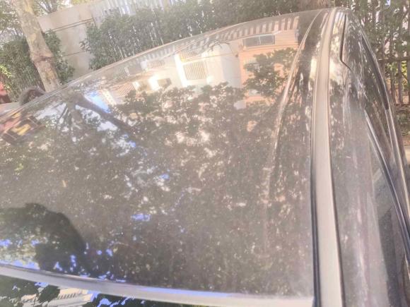 [青岛·鲁U] 二手本田奥德赛2021款 2.0L 锐·舒享版