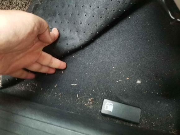 [成都·川A] 二手奇瑞艾瑞泽32015款 1.5L 手动够真版