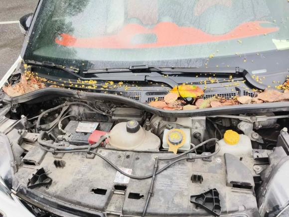 [杭州·浙A] 二手smartsmart fortwo2015款 1.0L 52千瓦硬顶激情版