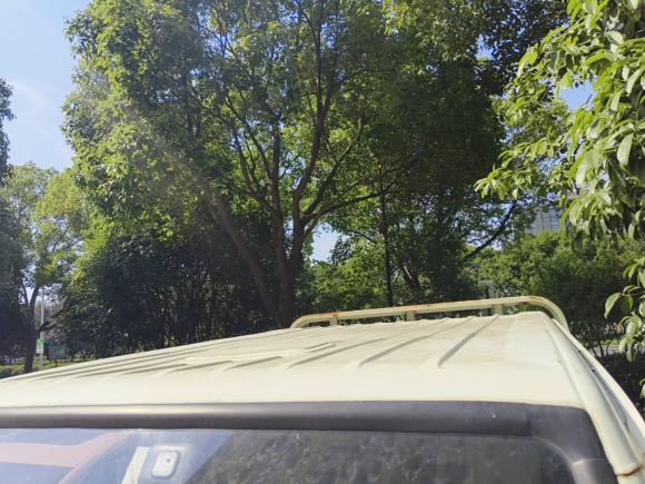 [湖州·浙E] 二手一汽解放T902019款 1.5L 单排4轮标准型DAM15R