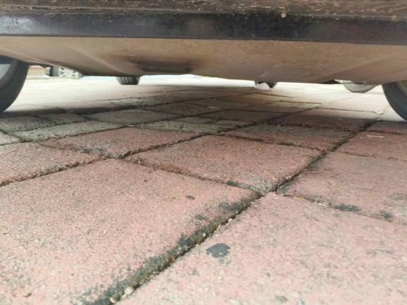 [济南·鲁A] 二手斯柯达明锐2013款 1.6L 自动逸杰版