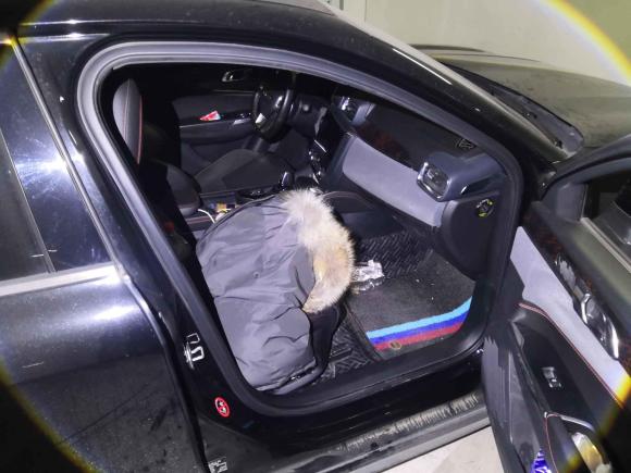 [无锡·苏B] 二手领克领克032019款 2.0TD 自动劲Pro版