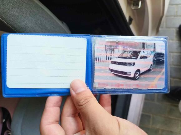 [嘉兴·浙A] 二手五菱汽车宏光MINIEV2022款 马卡龙臻享款 三元锂