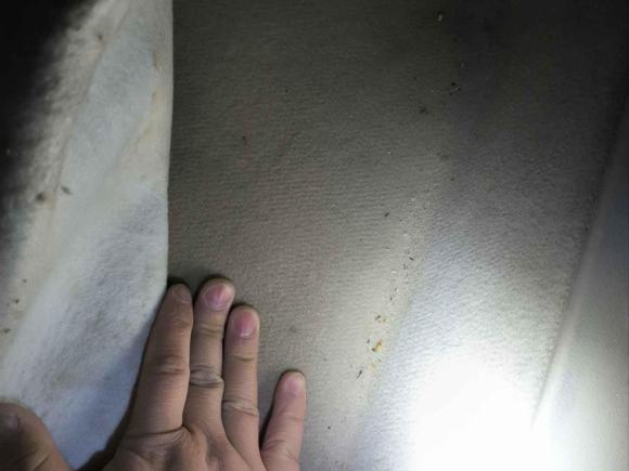 [西安·陕A] 二手本田奥德赛2008款 2.4L 普通版