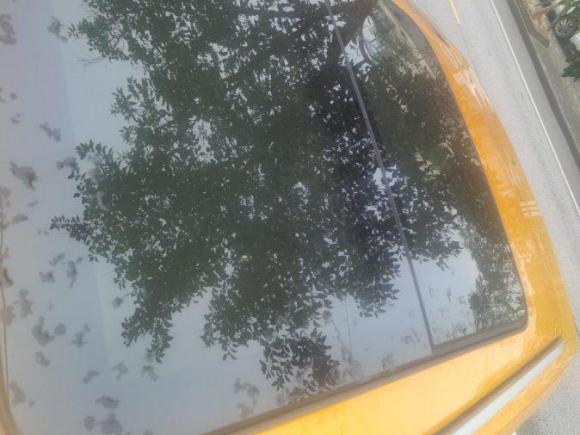 [上海·沪C] 二手奔腾奔腾T772021款 PRO 280 TID 自动尊贵型