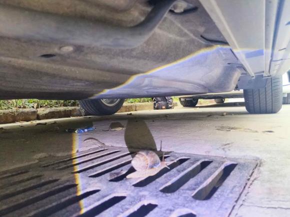 [深圳·粤B] 二手讴歌讴歌CDX2021款 1.5T 两驱尊享·A-Spec运动款