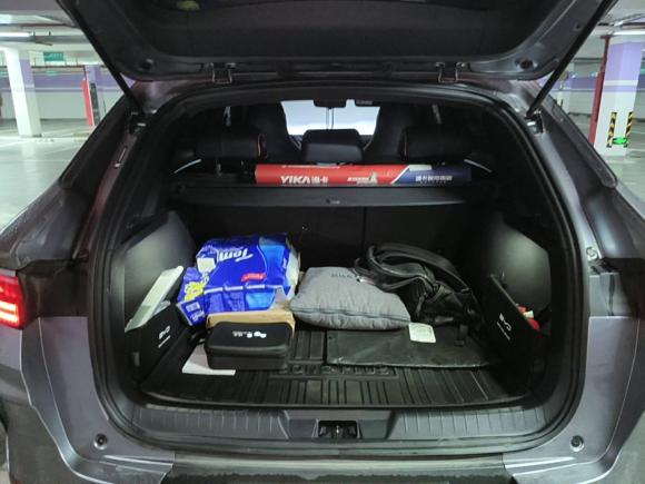 [南京·苏A] 二手比亚迪宋PLUS新能源2021款 EV 尊贵型