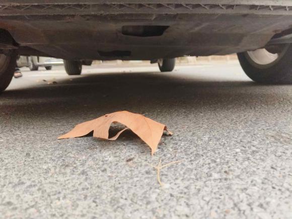 [青岛·鲁B] 二手大众朗逸2015款 1.6L 自动舒适版