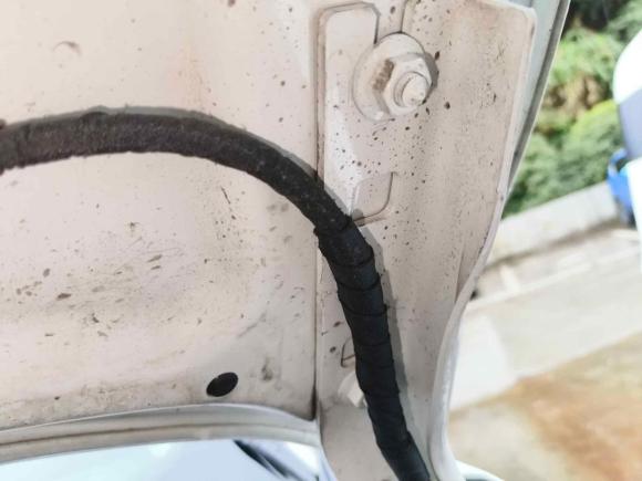 [温州·浙C] 二手大众ID.6 CROZZ2021款 长续航PRO版