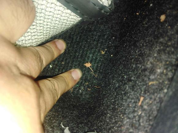 [苏州·苏U] 二手丰田YARiS L 致炫2020款 致炫X 1.5L CVT豪华版