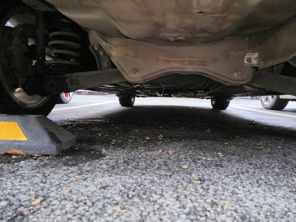 [合肥·皖A] 二手本田思域2009款 1.8L 自动舒适版