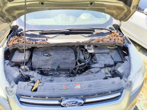 [上海·沪B] 二手福特翼虎2015款 1.5L GTDi 四驱精英型