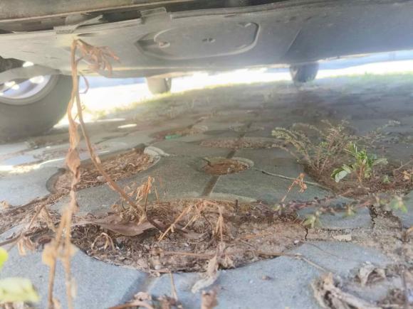 [宁波·渝D] 二手马自达马自达3 昂克赛拉2017款 三厢 1.5L 自动豪华型 国V