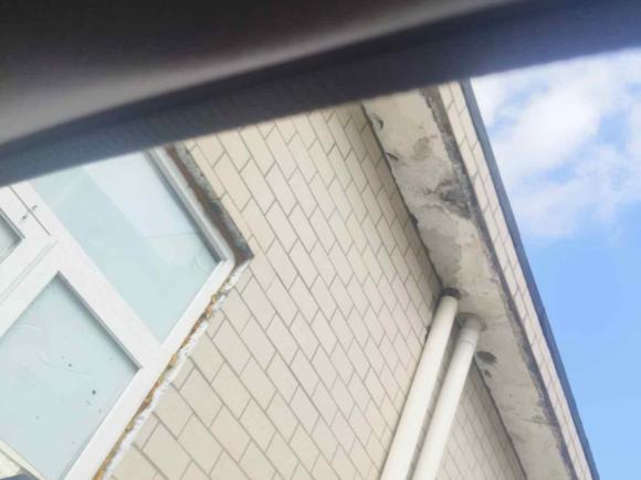 [上海·沪A] 二手丰田卡罗拉双擎E+2019款 1.8L E-CVT领先版