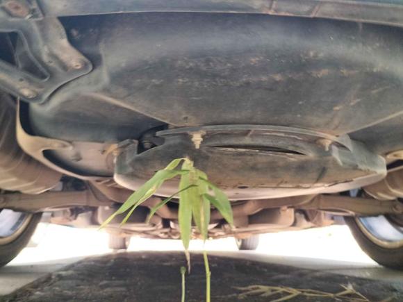 [南昌·赣A] 二手大众辉腾2011款 3.6L V6 5座加长舒适版