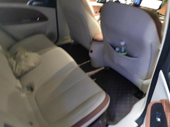 [北京·冀H] 二手欧拉欧拉好猫2022款 400km标准续航 尊贵型 三元锂