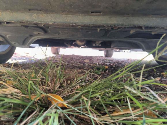 [台州·浙J] 二手大众Polo2011款 1.4L 自动致尚版