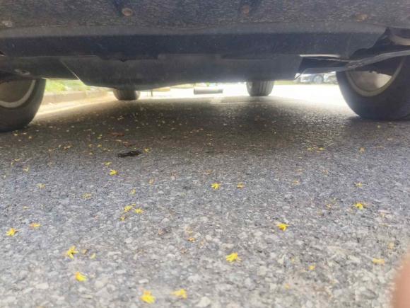 [嘉兴·浙F] 二手哈弗哈弗H22014款 1.5T 手动两驱精英版