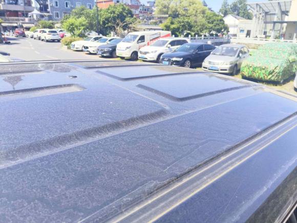 [杭州·浙F] 二手福特全顺2023款 2.0T柴油自动多功能商用车短轴低顶5/6座