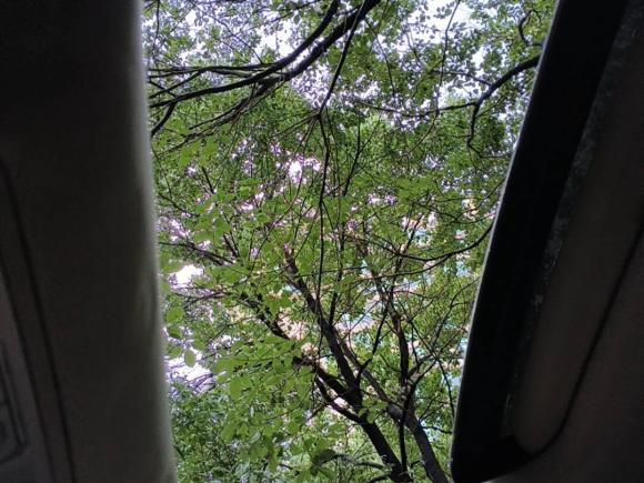 [上海·沪L] 二手捷豹捷豹XF2012款 XF 3.0L V6伦敦限量版