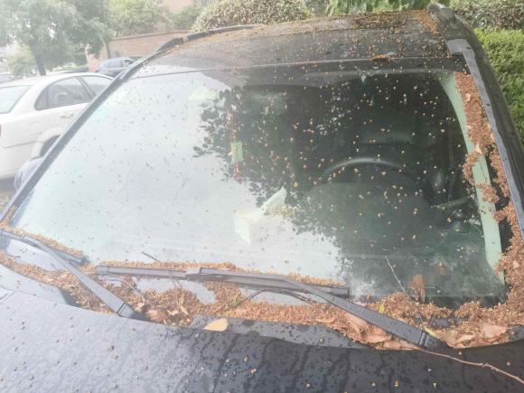 [宁波·浙B] 二手Jeep指南者2014款 改款 2.4L 四驱舒适版