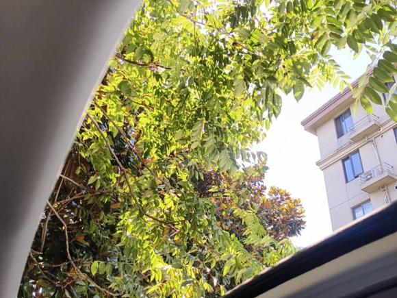 [上海·浙C] 二手本田奥德赛2021款 2.0L 锐·智享版