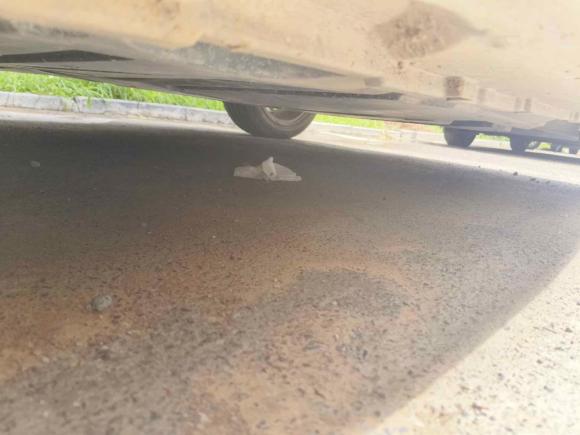 [济南·鲁A] 二手smartsmart fortwo2012款 1.0 MHD 硬顶舒适版