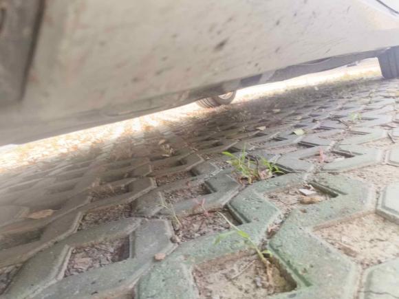 [上海·沪C] 二手奔驰奔驰E级2010款 E 260 L CGI优雅型