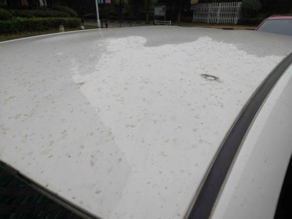 [武汉·鄂A] 二手丰田威驰2014款 1.3L 自动型尚版