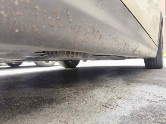 [上海·沪B] 二手MINIMINI2016款 1.2T ONE 先锋派