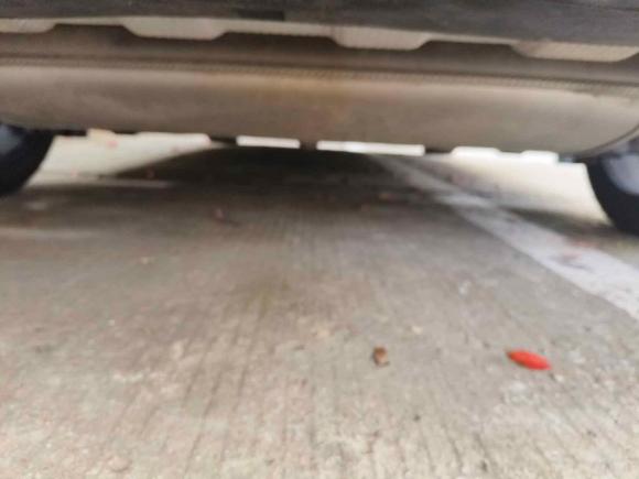 [合肥·皖A] 二手领克领克032022款 1.5TD DCT劲Pro