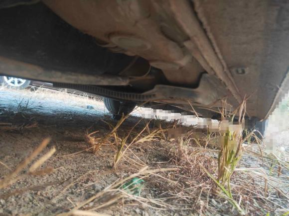 [无锡·苏F] 二手大众捷达2017款 1.5L 手动时尚型