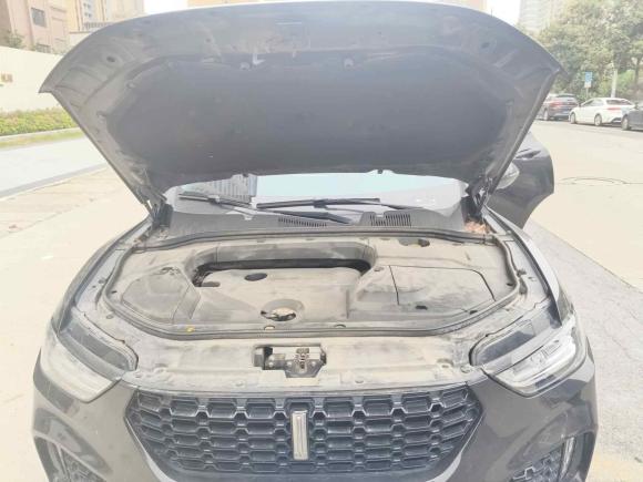 [南京·苏E] 二手魏牌魏牌 VV52017款 2.0T 超豪型